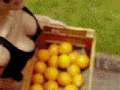 I love oranges