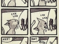 Life with cats