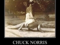 Chuck Norris' Daughter