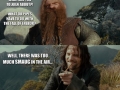 Lord of the Zings