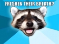 Lame pun coon