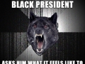 Insanity Wolf Zach