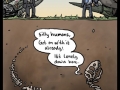 Silly humans