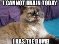 Every single Monday