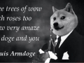 So much doge