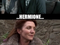 Hermione is a Stark