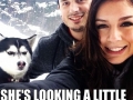 Jealous Husky