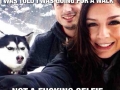 Pi**ed off husky