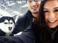 Jealous Husky