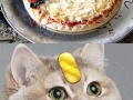 Pokeball Pizza!
