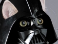 Heavy breathing cat
