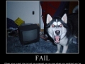 Guard Dog