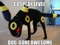 Cosplay level awsome