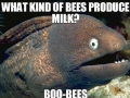 Bee milk