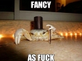 Fancy as f**k