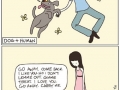 Cats vs dogs