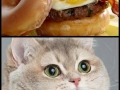 Donut bacon burger
