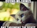 1st world kitty problems