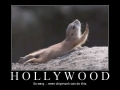 Hollywood
