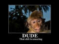 That s**t is amazing