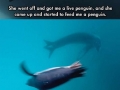 Good guy leopard seal
