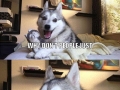 That song from Frozen..