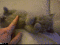 Awww so cute!