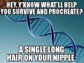 Scumbag evolution