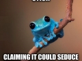 Small fact frog