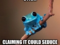 Small Fact Frog