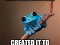 Small fact frog