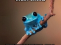 Small fact frog