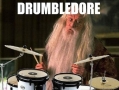 Drumbledore please