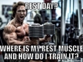 Where is my rest muscle?