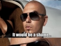 Every Pitbull song ever