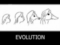 Evolution