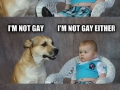 Dadjoke dog is on to you