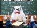 Chemistry cat