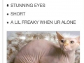 Is it me you're looking for?