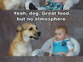 Dad joke dog