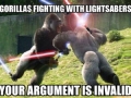 Gorillas fighting