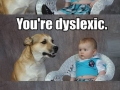 Dad joke dog