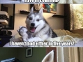Pun dog