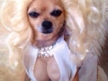 B*tches be like..