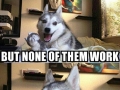 Pun Dog