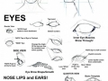 Face Patterns