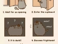How to solve a mystery
