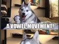 Pun dog