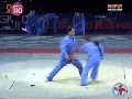 Judo master
