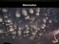 Damn nature, you scary